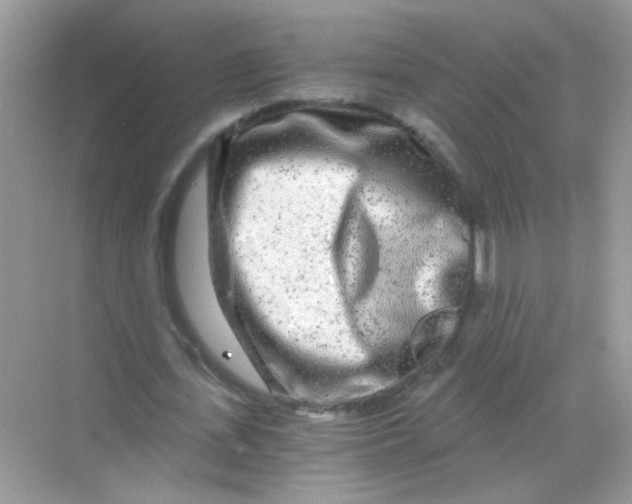 X0000068280723200605121911