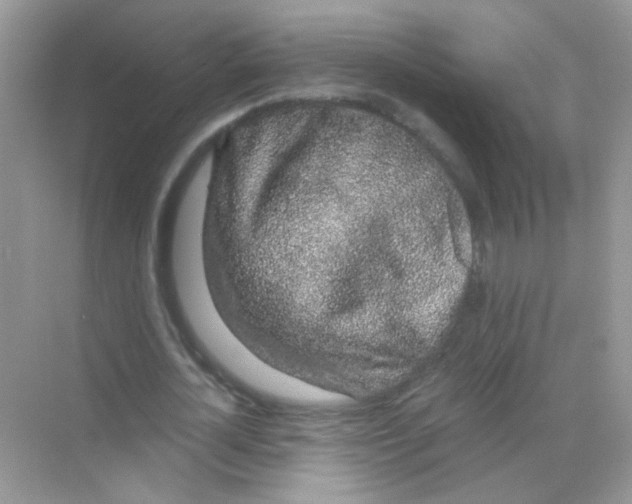 X0000068280724200605121911