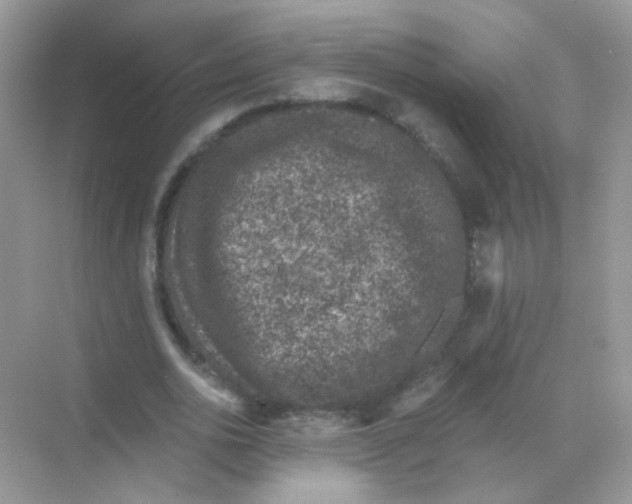 X0000068280726200605121911