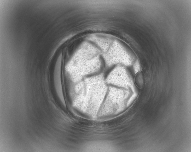 X0000068280727200605121911