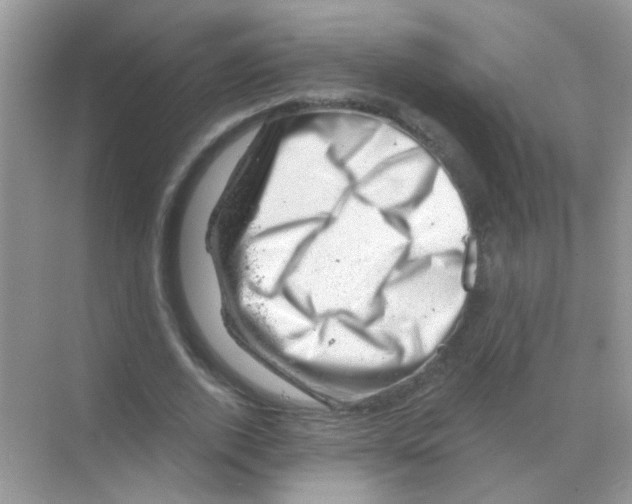 X0000068280728200605121911