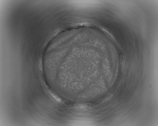 X0000068280729200605121911