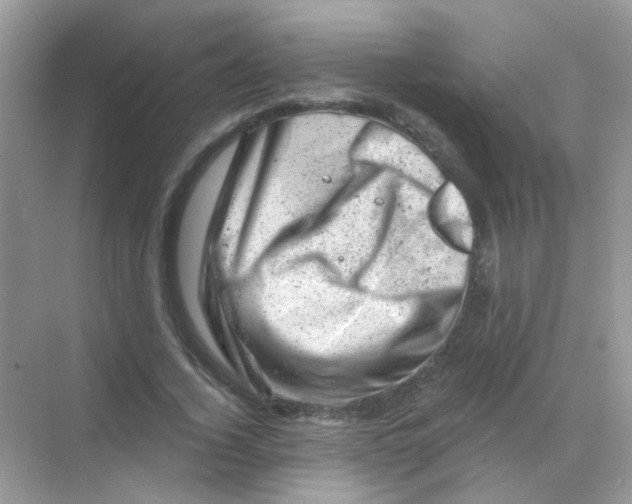 X0000068280732200605121911