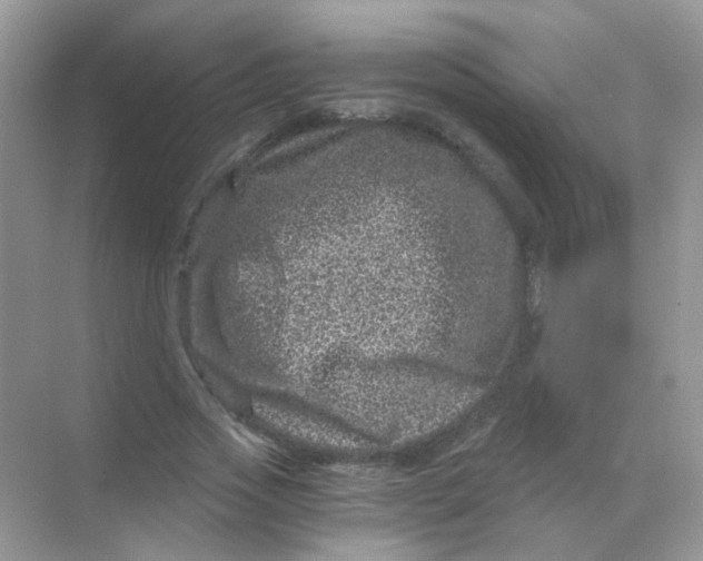 X0000068280733200605121911