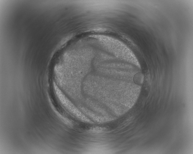 X0000068280734200605121911