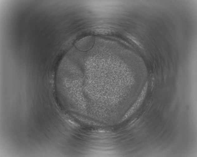 X0000068280737200605121911