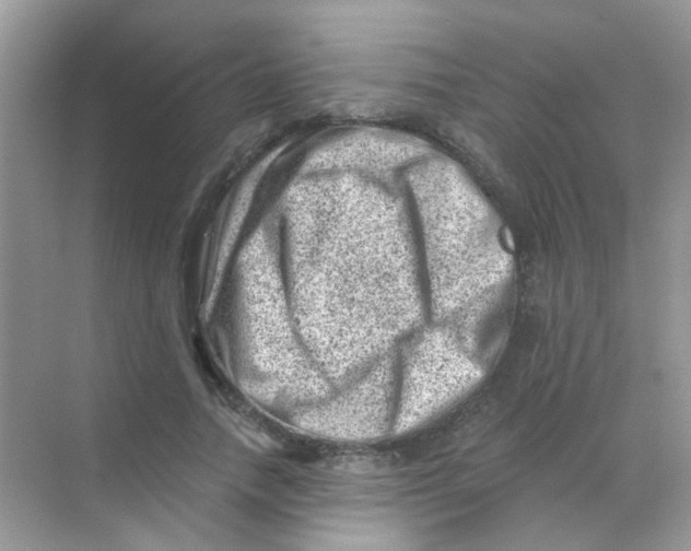 X0000068280738200605121911