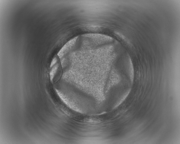 X0000068280739200605121911