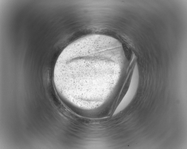 X0000068280740200605121911