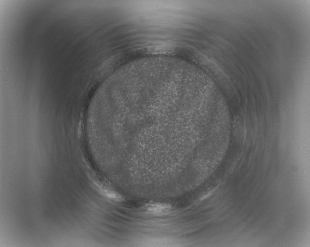 X0000068280741200605121911