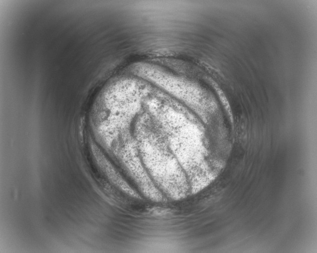 X0000068280742200605121911