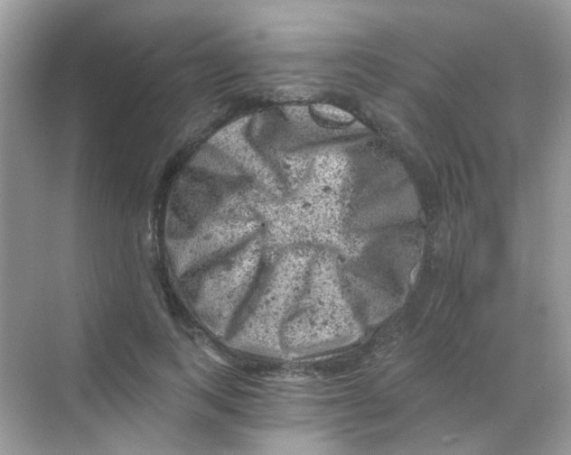 X0000068280743200605121911