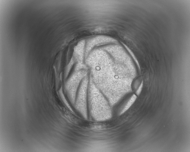 X0000068280746200605121911