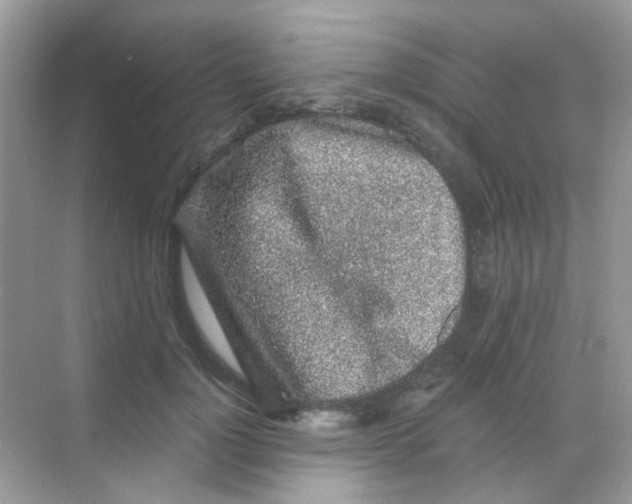 X0000068280748200605121911