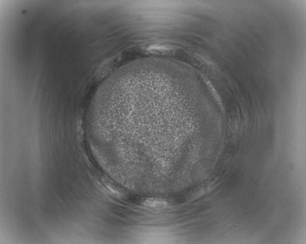 X0000068280749200605121911