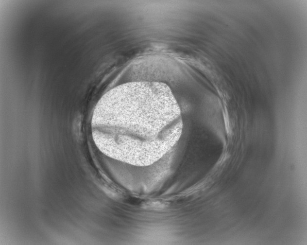 X0000068280750200605121911