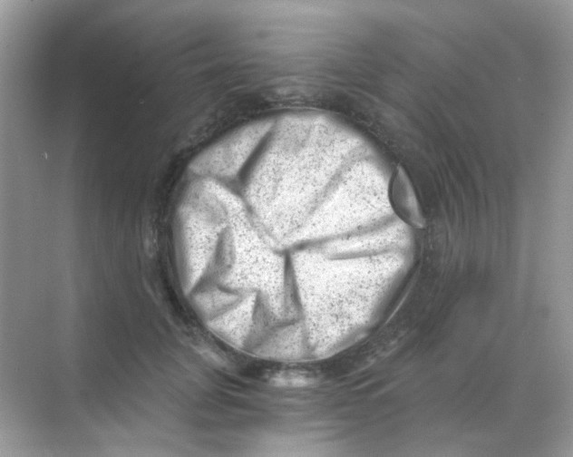 X0000068280751200605121911