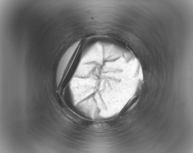 X0000068280752200605121911