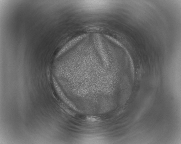 X0000068280753200605121912