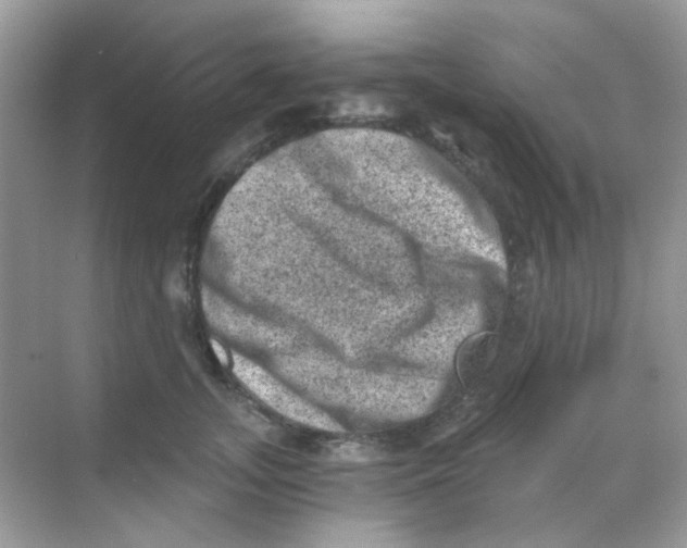 X0000068280755200605121912