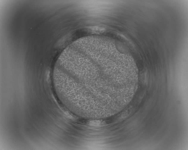 X0000068280757200605121912