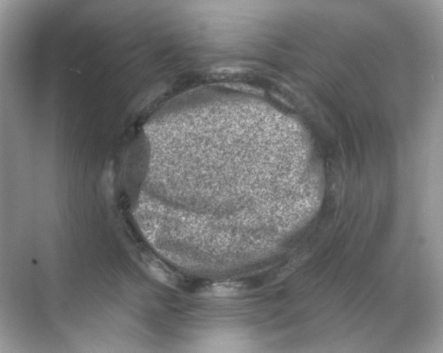 X0000068280758200605121912