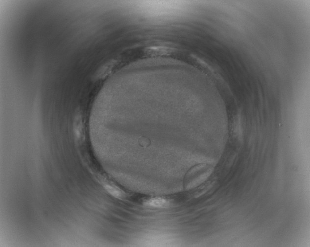 X0000068280759200605121912