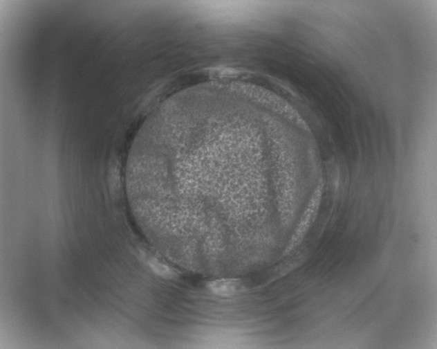 X0000068280761200605121912