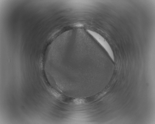 X0000068280762200605121912