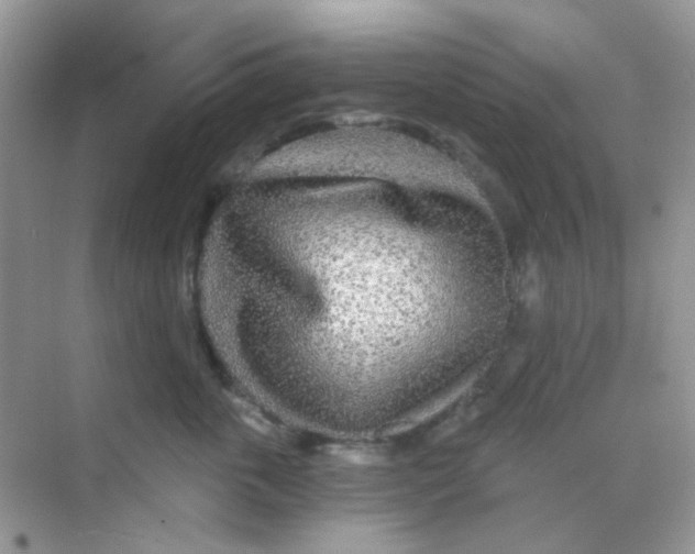 X0000068280763200605121912