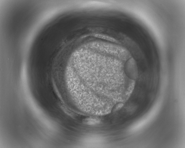 X0000068280765200605121912