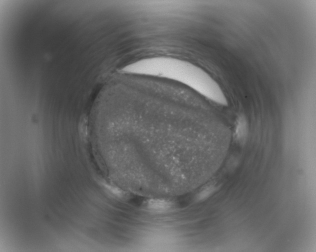 X0000068280766200605121912