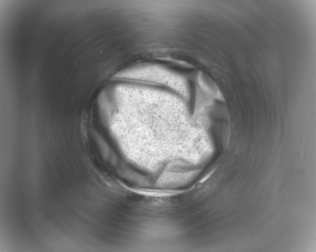 X0000068280768200605121912