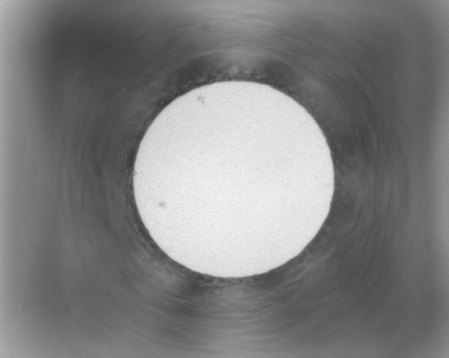 X0000068280769200605121911