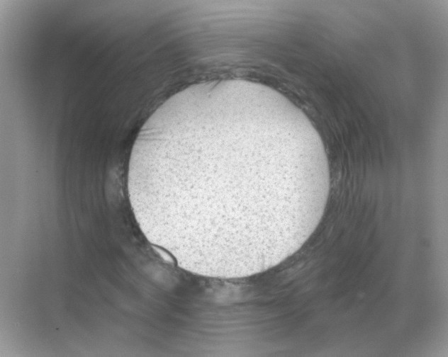 X0000068280772200605121911