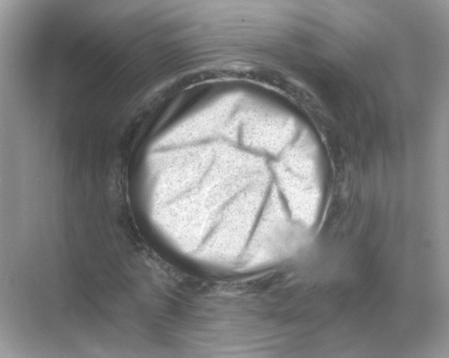 X0000068280773200605121911