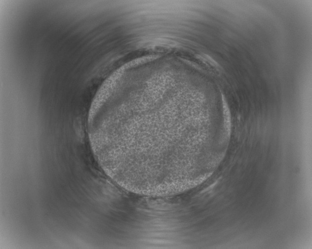 X0000068280774200605121911