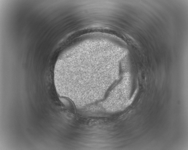 X0000068280776200605121911