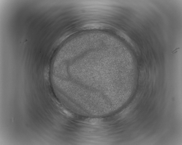 X0000068280778200605121911