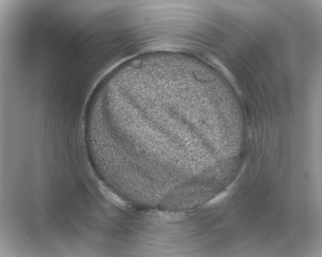 X0000068280779200605121911