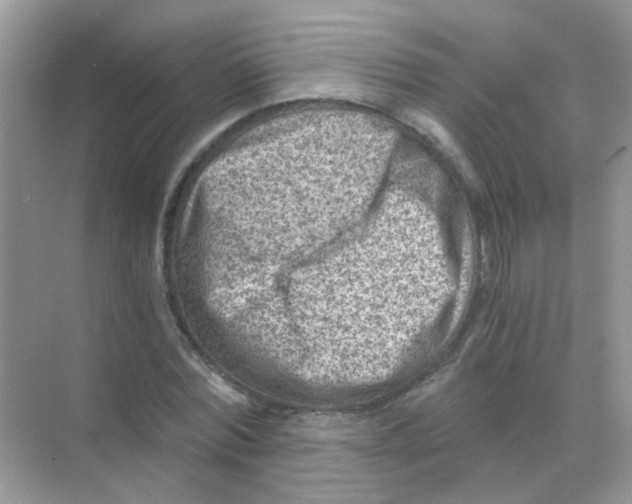 X0000068280780200605121911