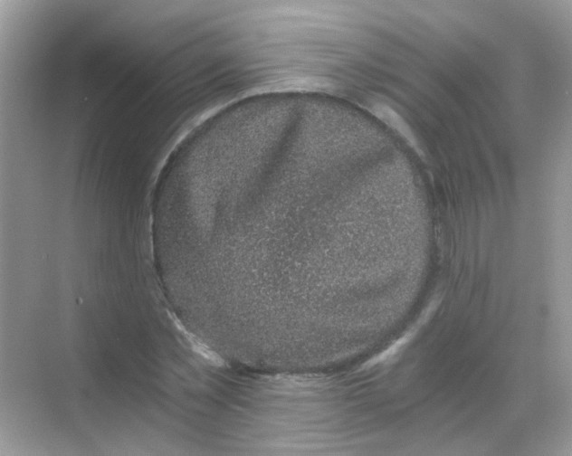 X0000068280781200605121911