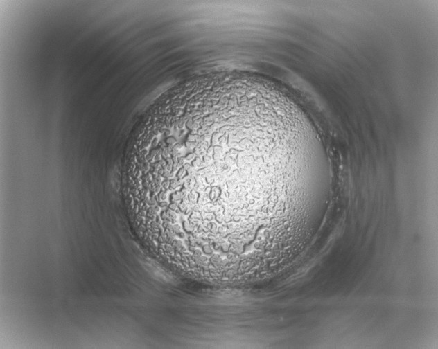 X0000068280785200605121911