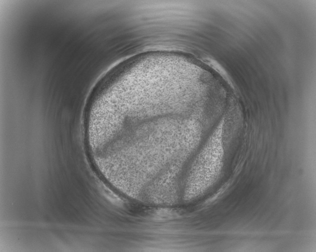 X0000068280787200605121911