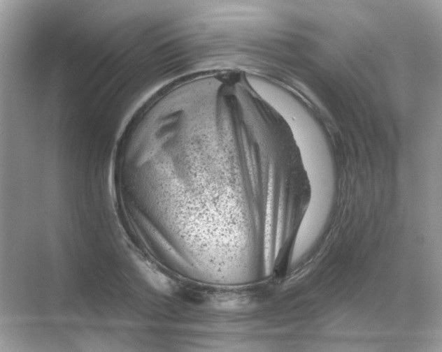 X0000068280788200605121911