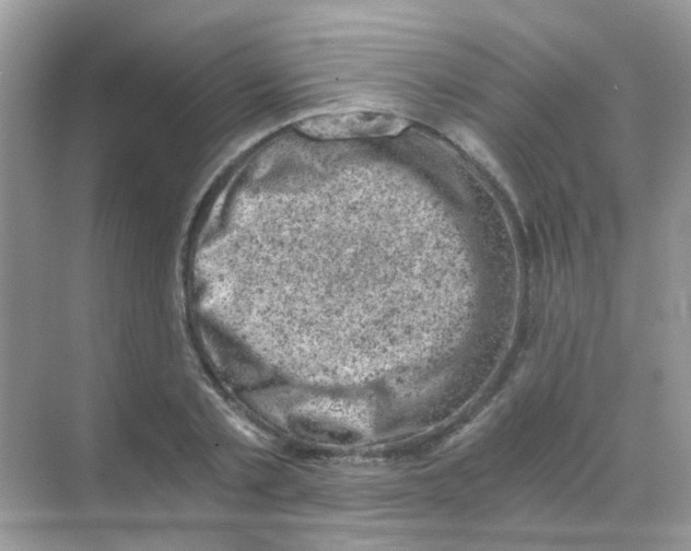 X0000068280789200605121911