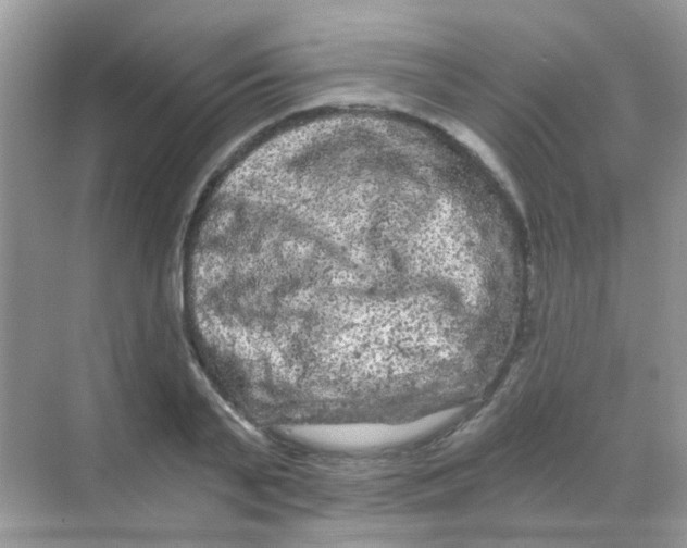 X0000068280791200605121911