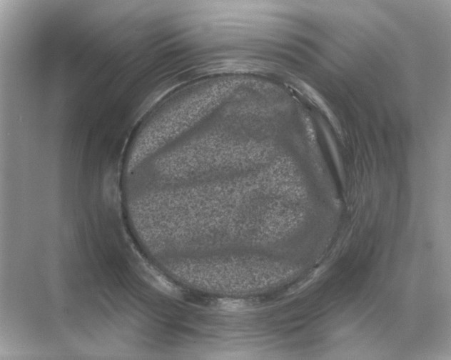 X0000068280794200605121911