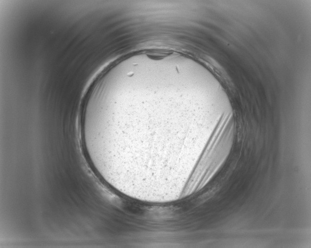 X0000068280796200605121910