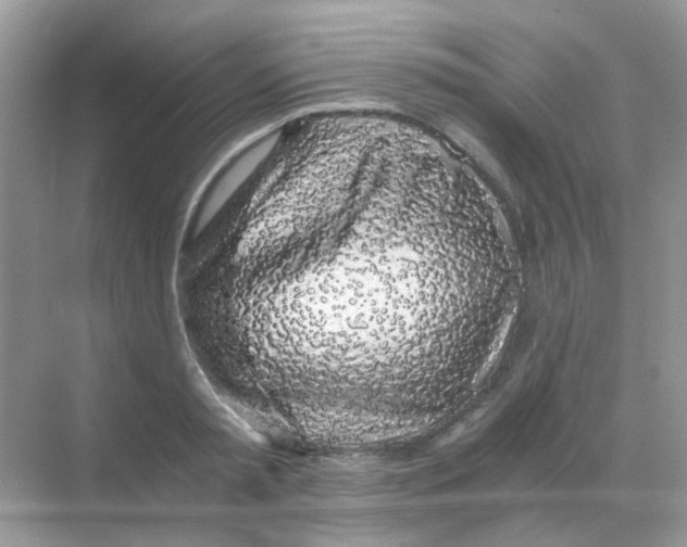 X0000068280797200605121910